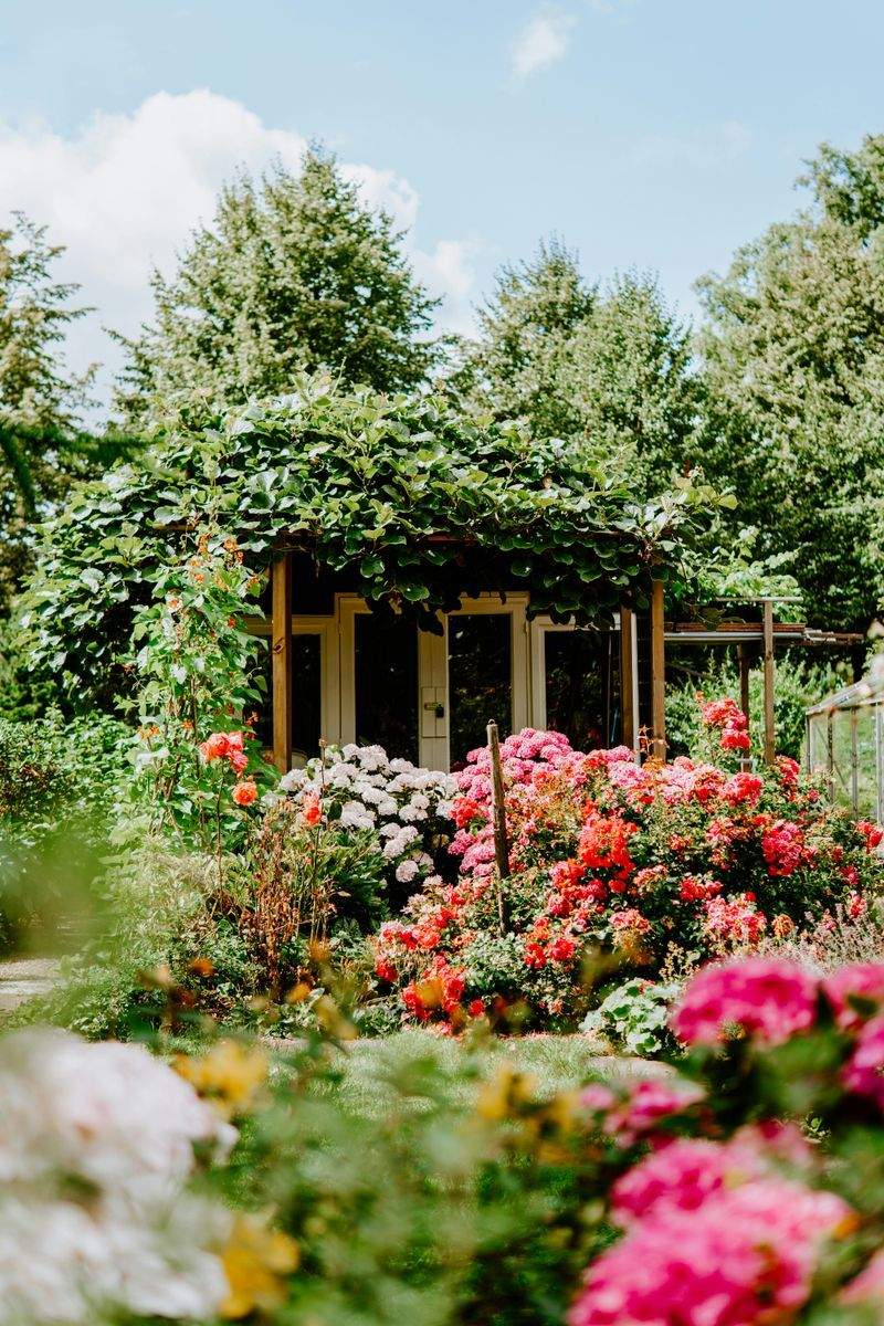 MapleBloom Garden Co.