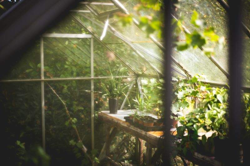 MapleBloom Garden Co.