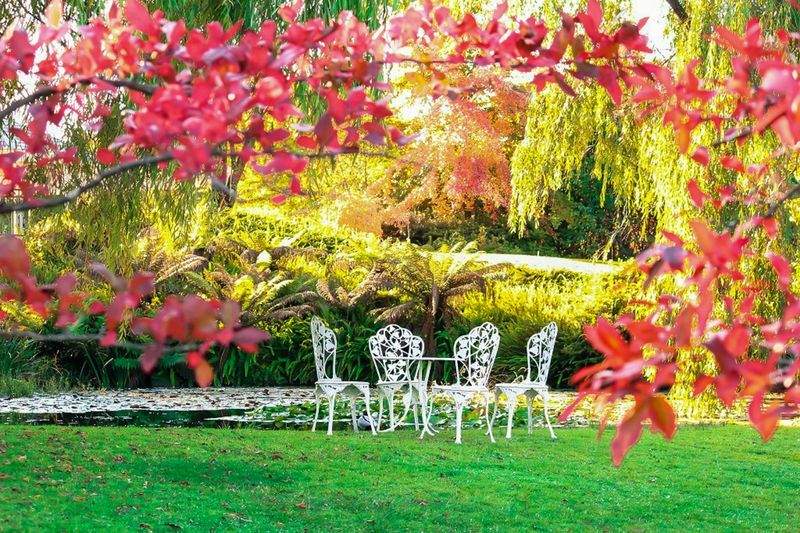 MapleBloom Garden Co. 13