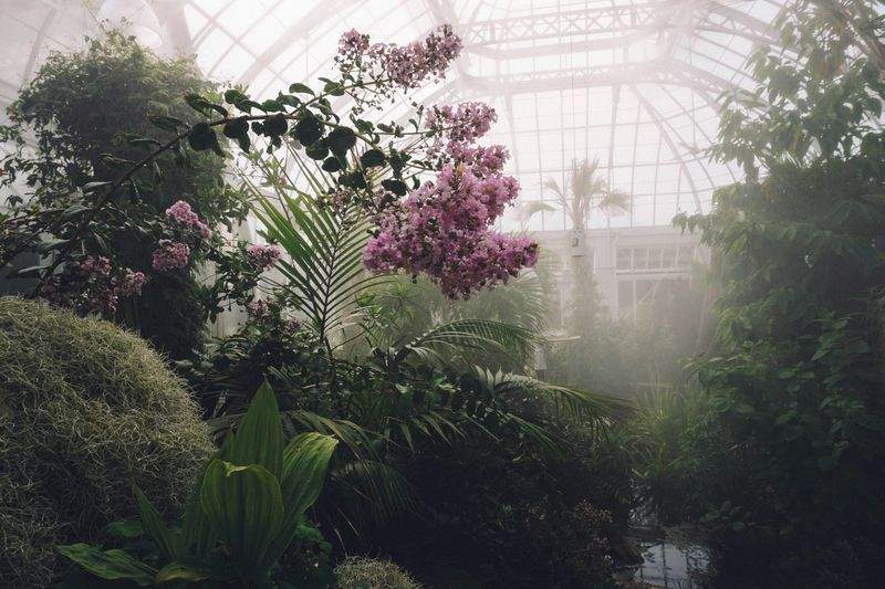 MapleBloom Garden Co. 2