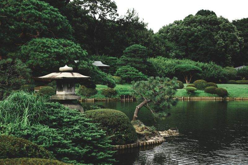 Garden design and planting plans