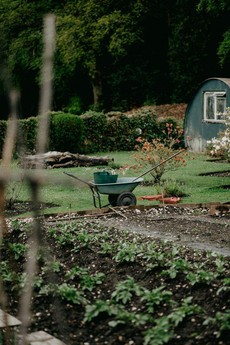 Seasonal garden cleanups